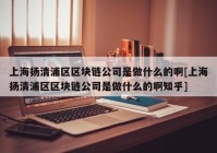 上海扬清浦区区块链公司是做什么的啊[上海扬清浦区区块链公司是做什么的啊知乎]